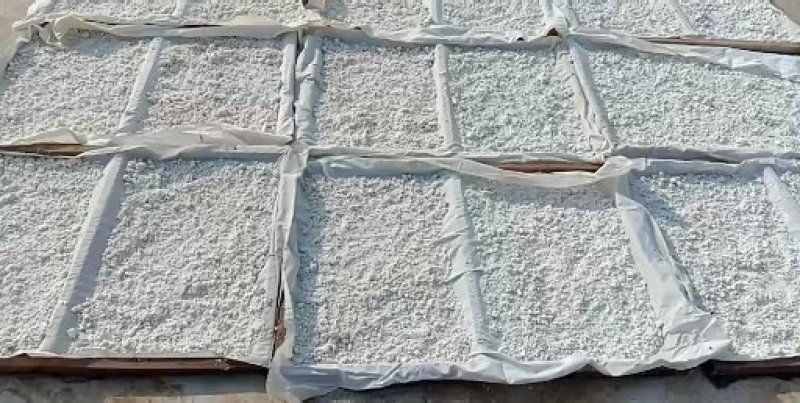 红薯粉条