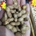 怪嗑小花生