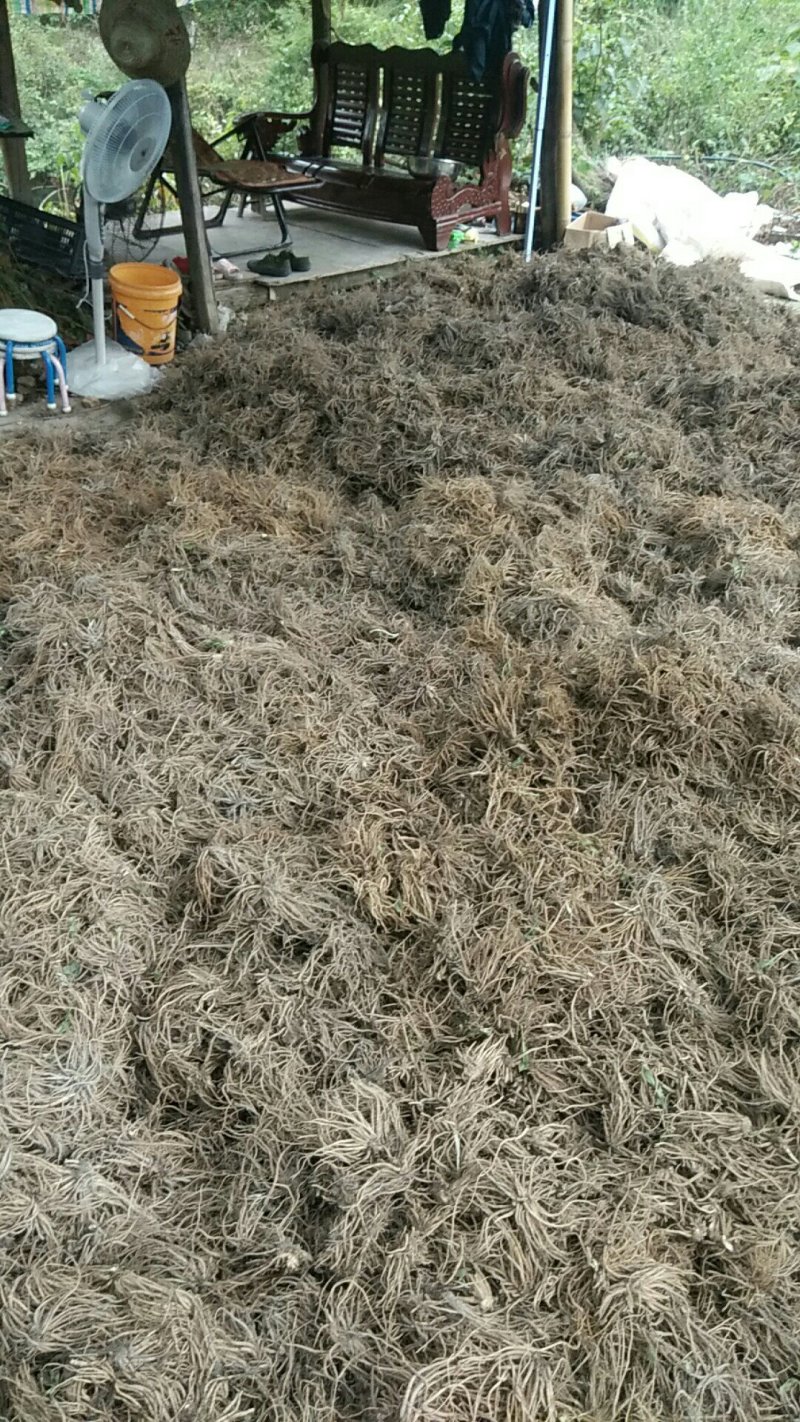 缬草油