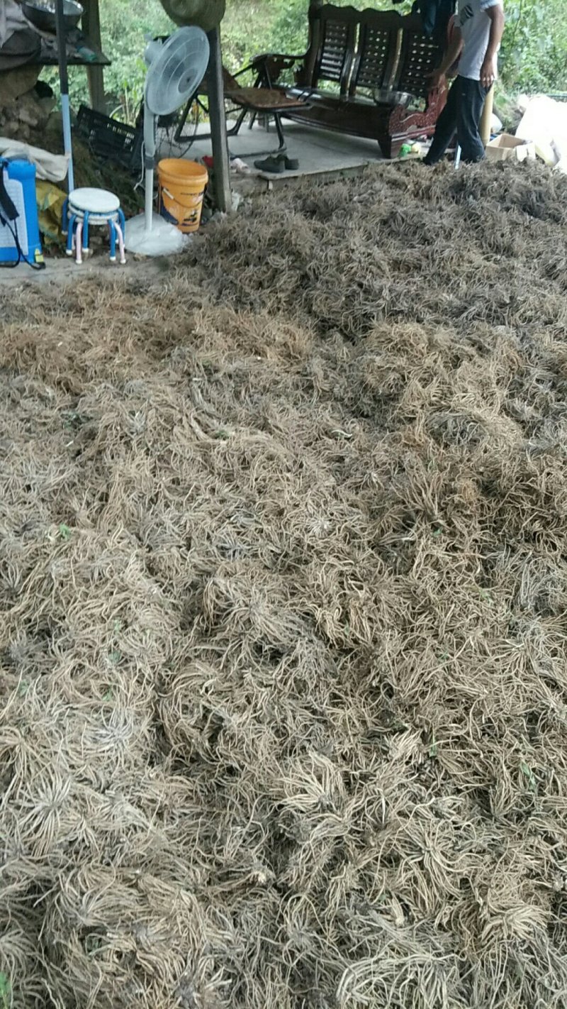 缬草油