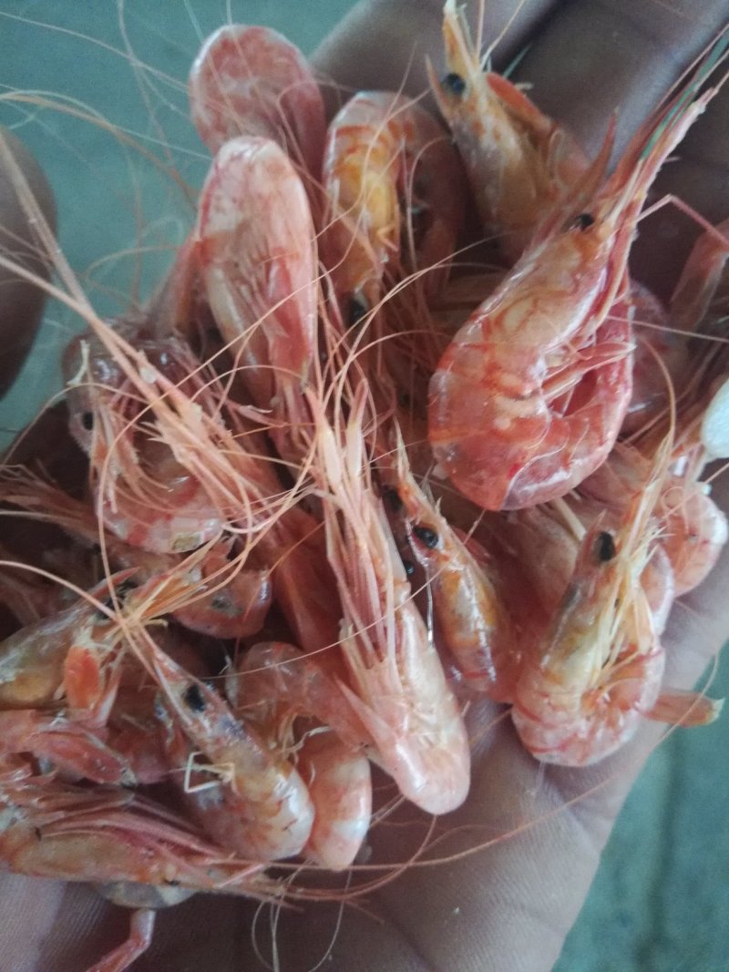 红虾