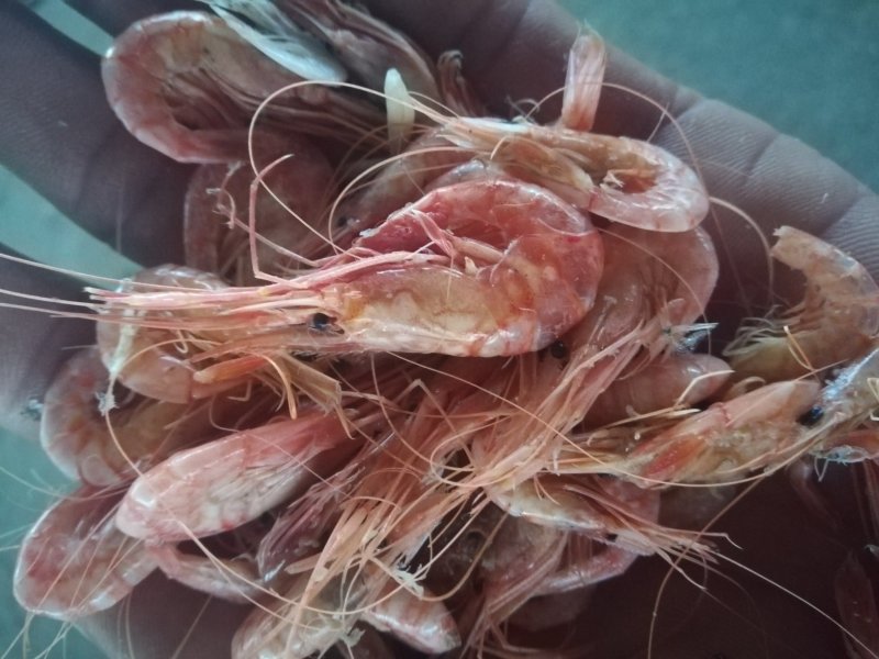 红虾