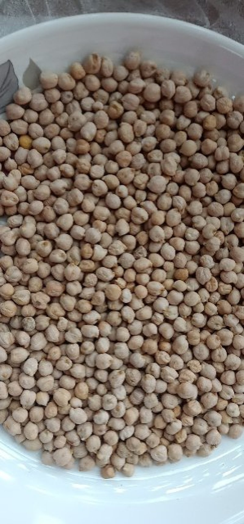 [热卖]新疆疏附县优质鹰嘴豆大量供应诚信经营