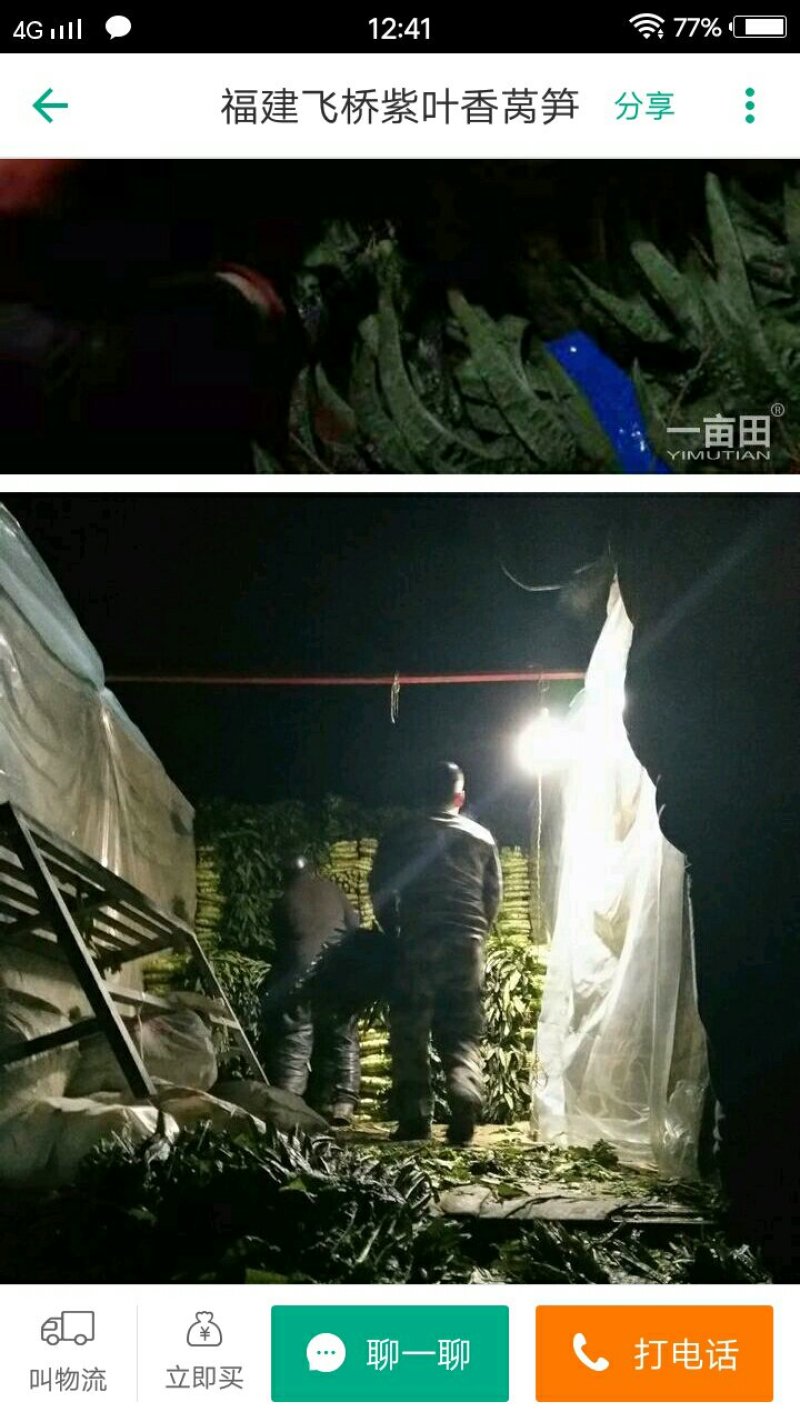 莴苣不空心