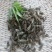 夏枯草批发各种规格中药材