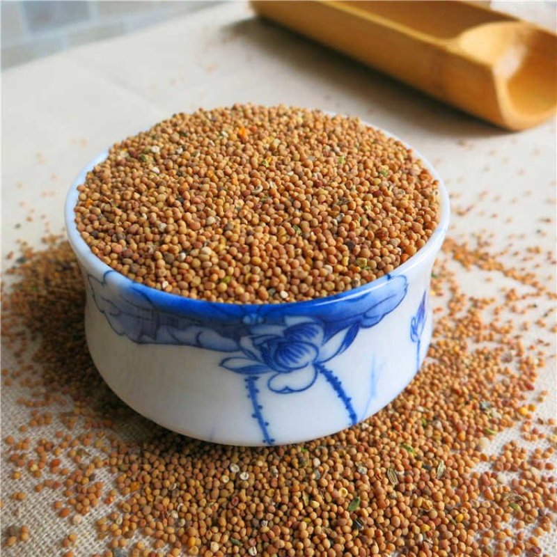 菟丝子内蒙中药材批发