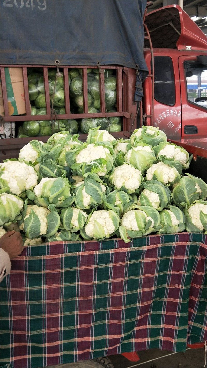 花菜