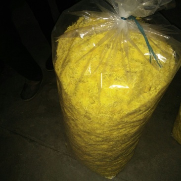 黄山金丝皇菊茶