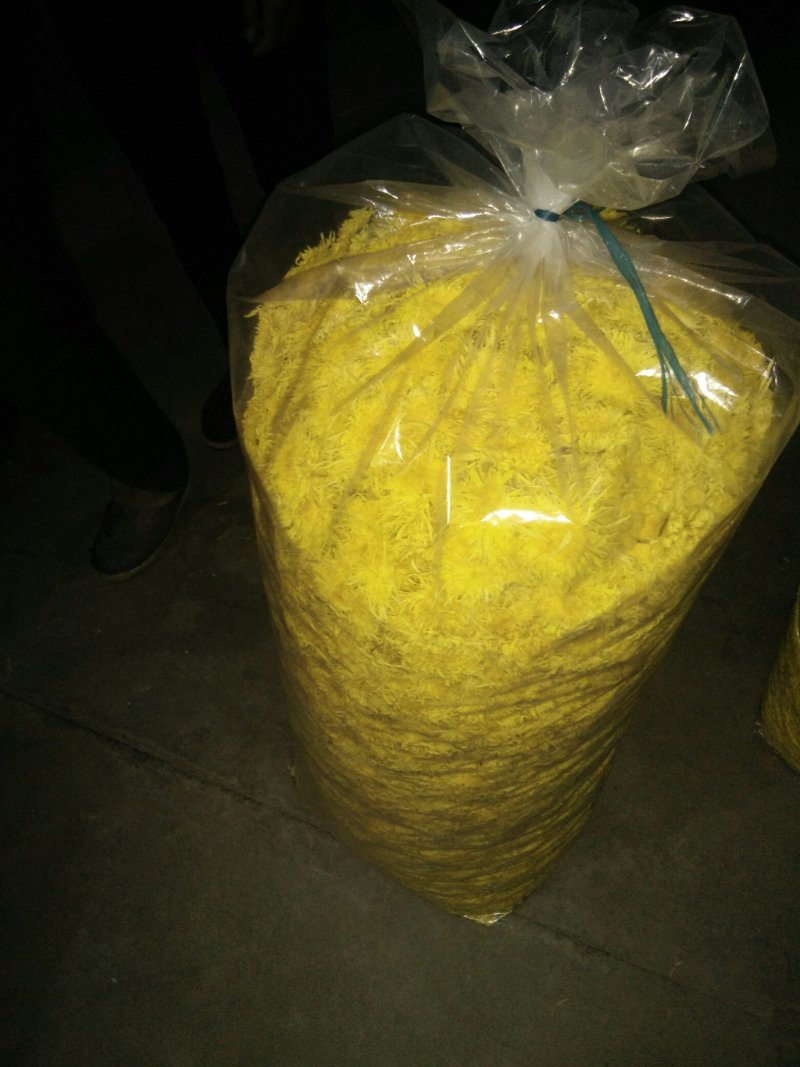 黄山金丝皇菊茶