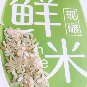 东北大米稻花香胚芽米，现磨鲜活大米带胚芽的营养米