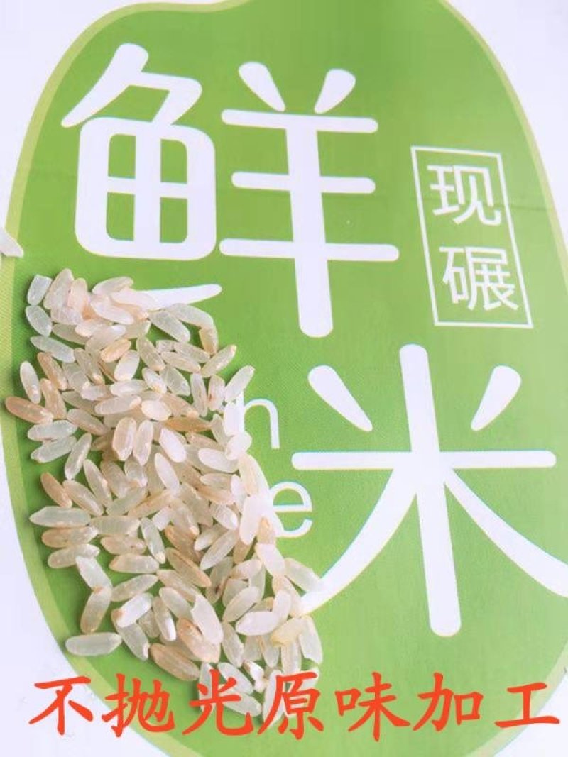 东北大米稻花香胚芽米，现磨鲜活大米带胚芽的营养米
