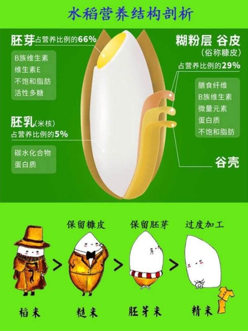 东北大米稻花香胚芽米，现磨鲜活大米带胚芽的营养米