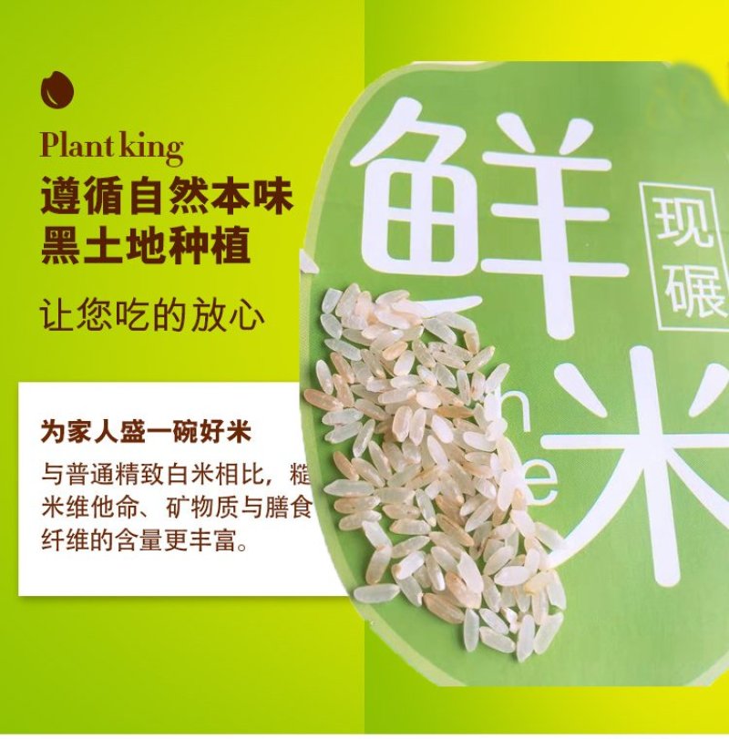东北大米稻花香胚芽米，现磨鲜活大米带胚芽的营养米