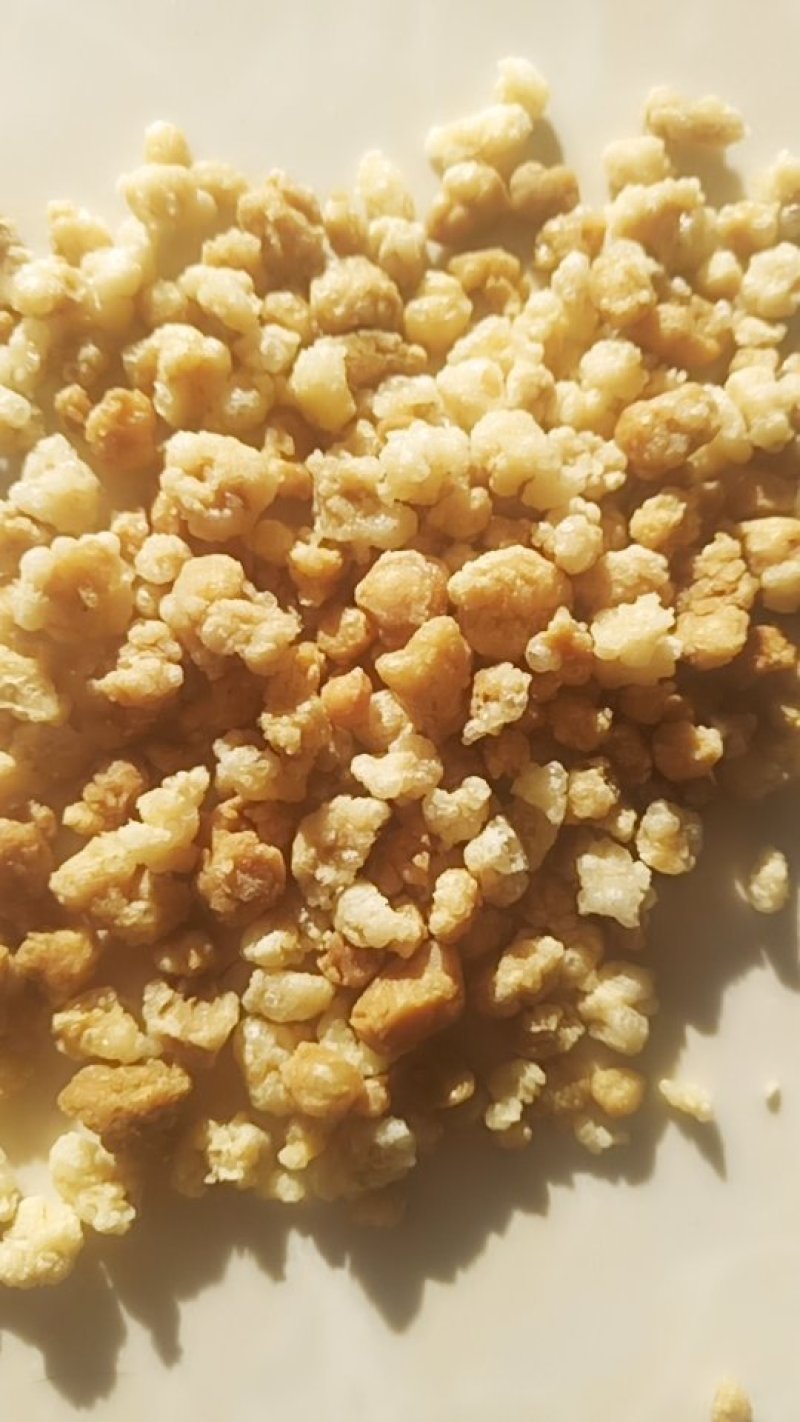 饲料