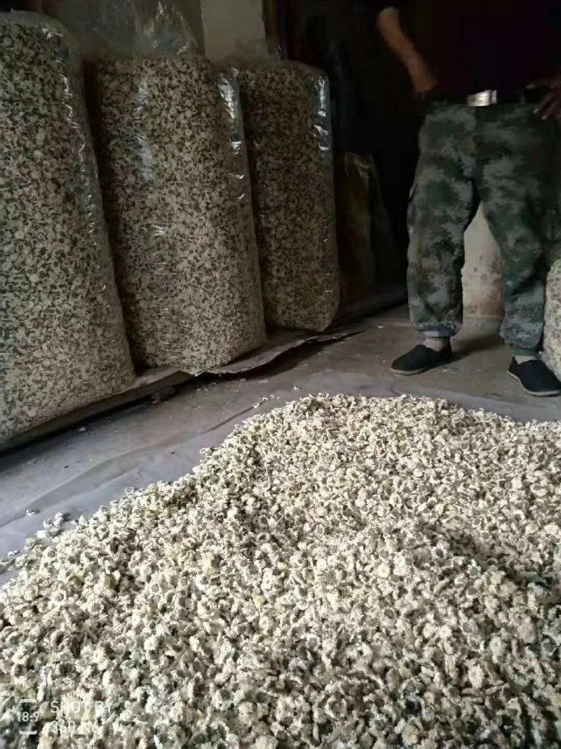 家里自产自烘培的白贡菊，量大价优
