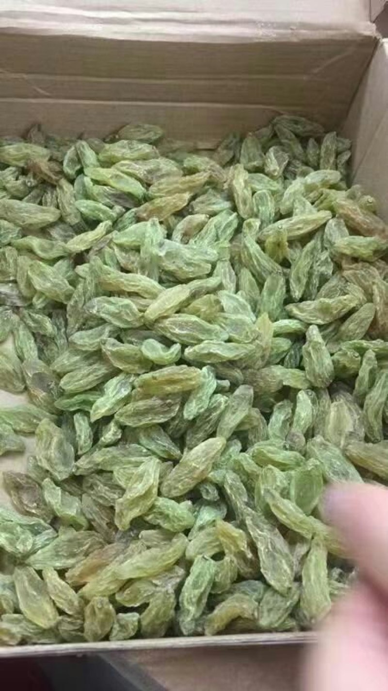 中颗粒绿香妃葡萄干快递，航运，整车包邮