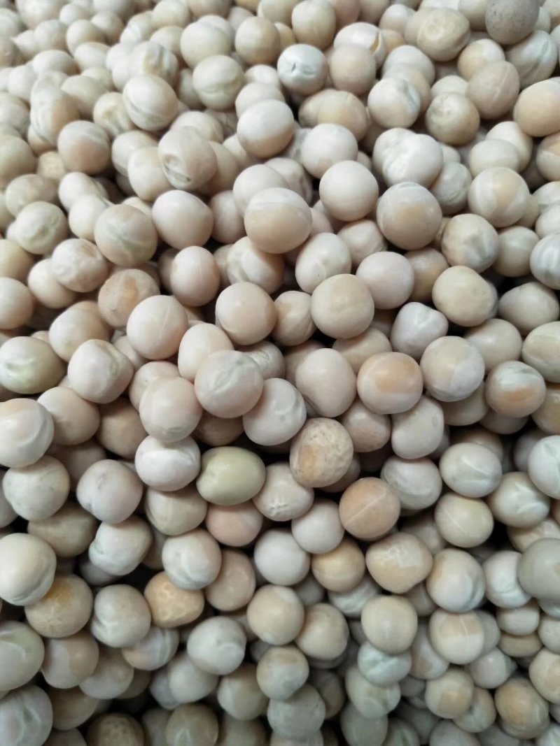 白豌豆大颗粒加拿大进口油炸炒货6.5筛片