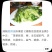 蔬菜