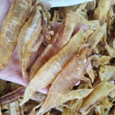 80一100头原色老黄花胶，