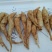 新鲜玉竹，现挖现卖，欲购从速
