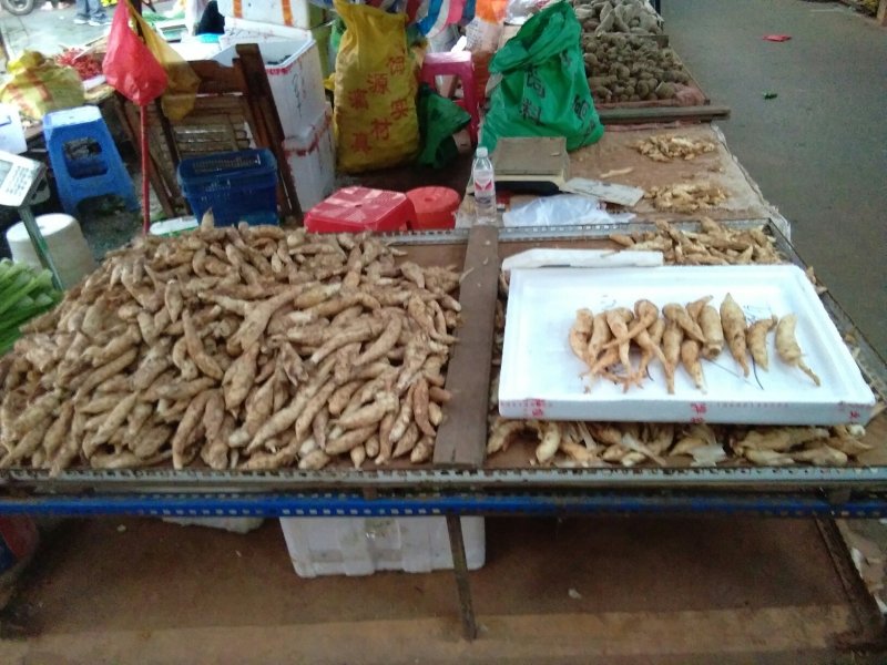 新鲜玉竹，现挖现卖，欲购从速