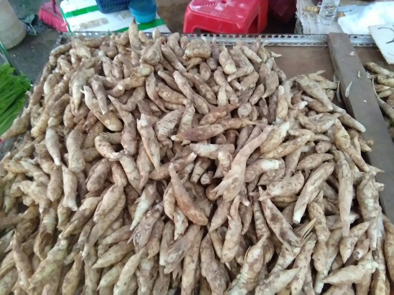 新鲜玉竹，现挖现卖，欲购从速