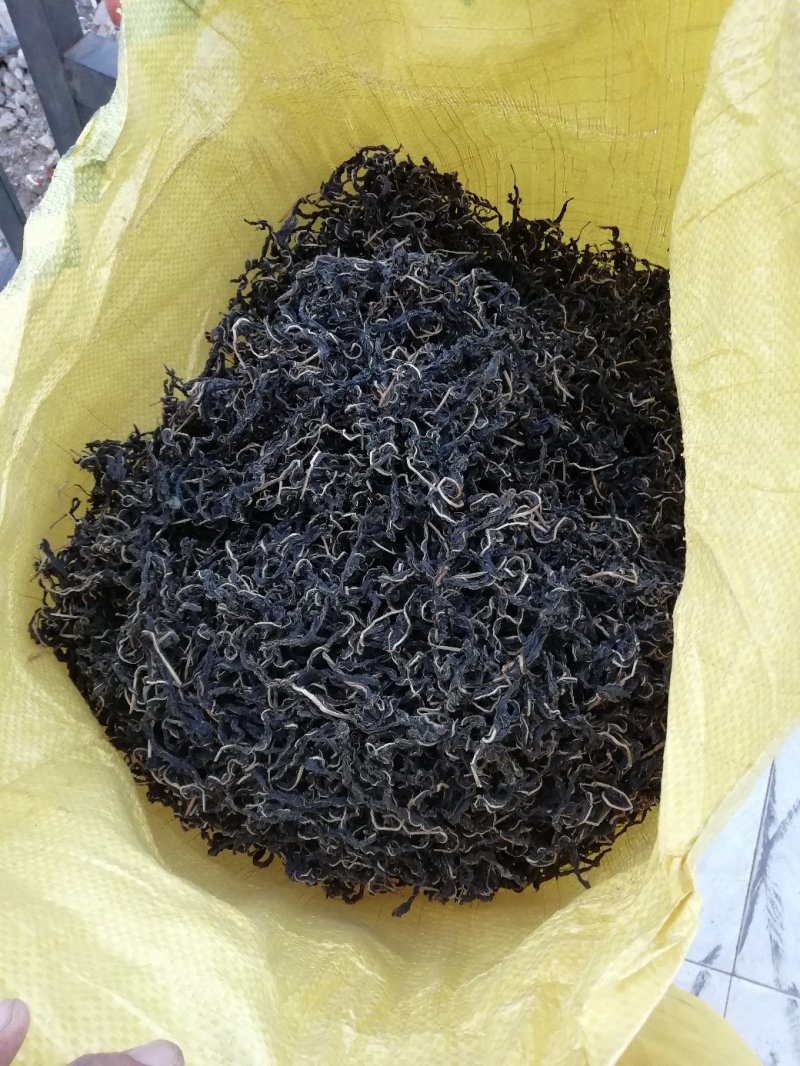 大量供应干芝麻叶