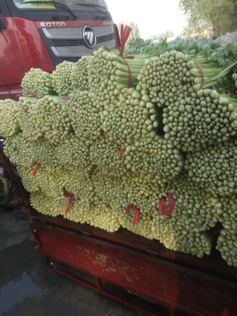 西芹好西芹