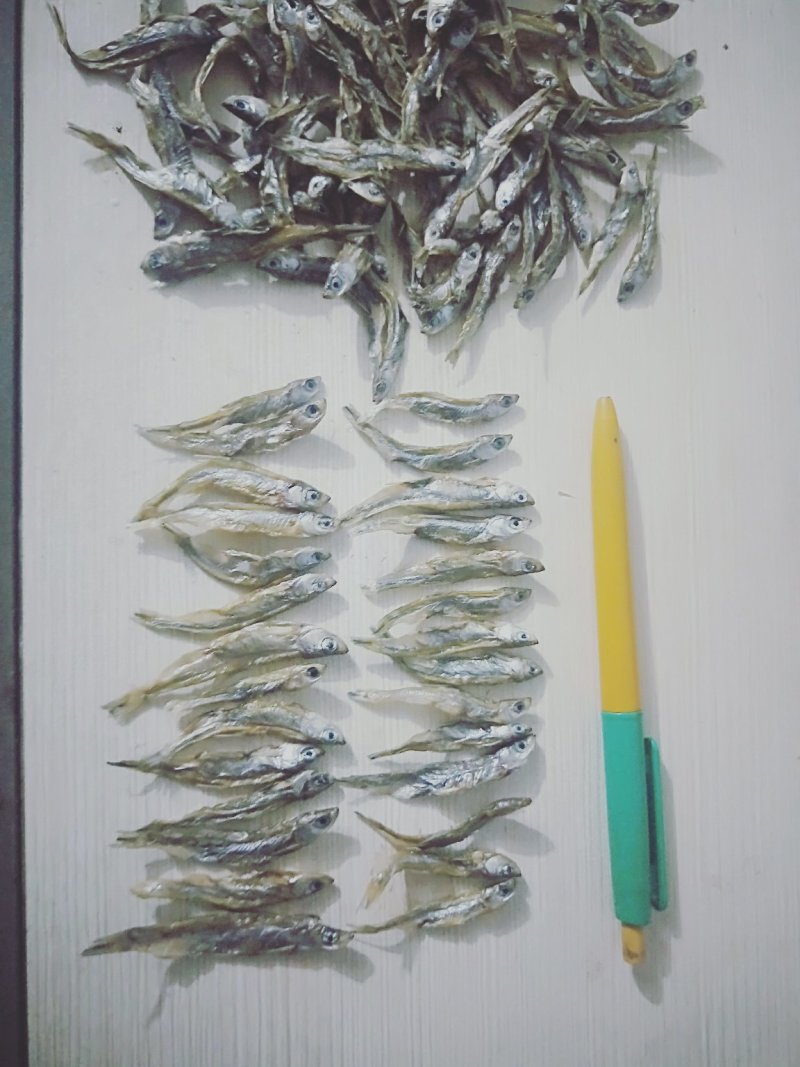 河鱼干/小鱼干/微小蓝刀/微小白条/干度9成/易保存