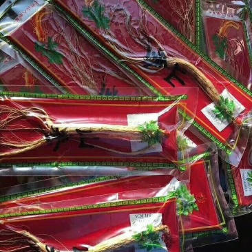 林下参，15元一支/15年林下参泡酒煲汤🍲10支包邮