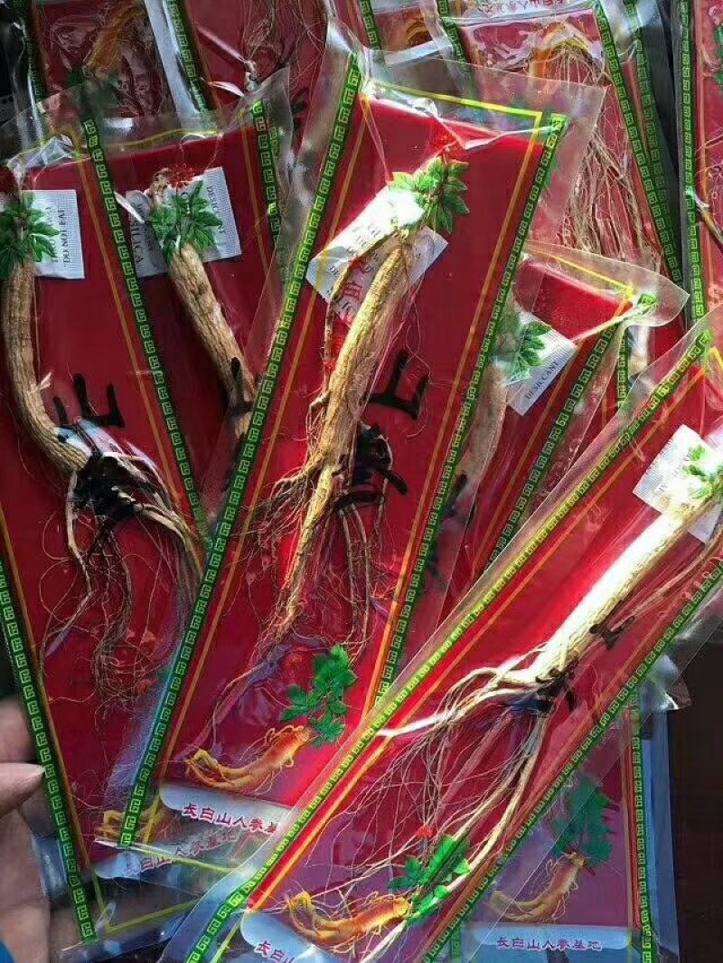 林下参，15元一支/15年林下参泡酒煲汤🍲10支包邮