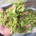 花菜干脱水蔬菜干货菜类大全农家自制椰菜花g