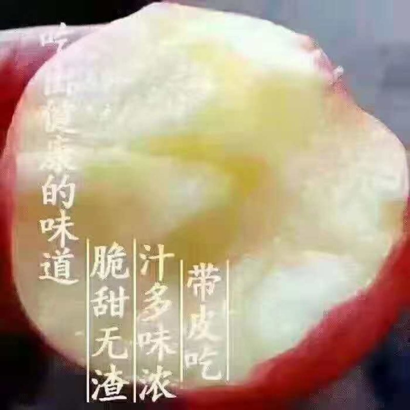 大量供应新鲜红富士苹果脆甜可口一件代发对接各大电商平台包