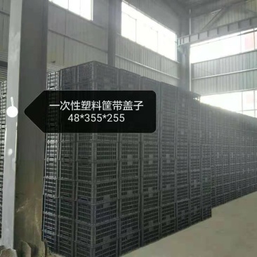 泡沫箱生产车间，厂家直销可定制产品的