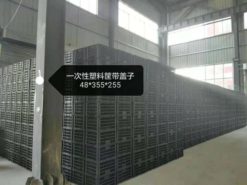 泡沫箱生产车间，厂家直销可定制产品的