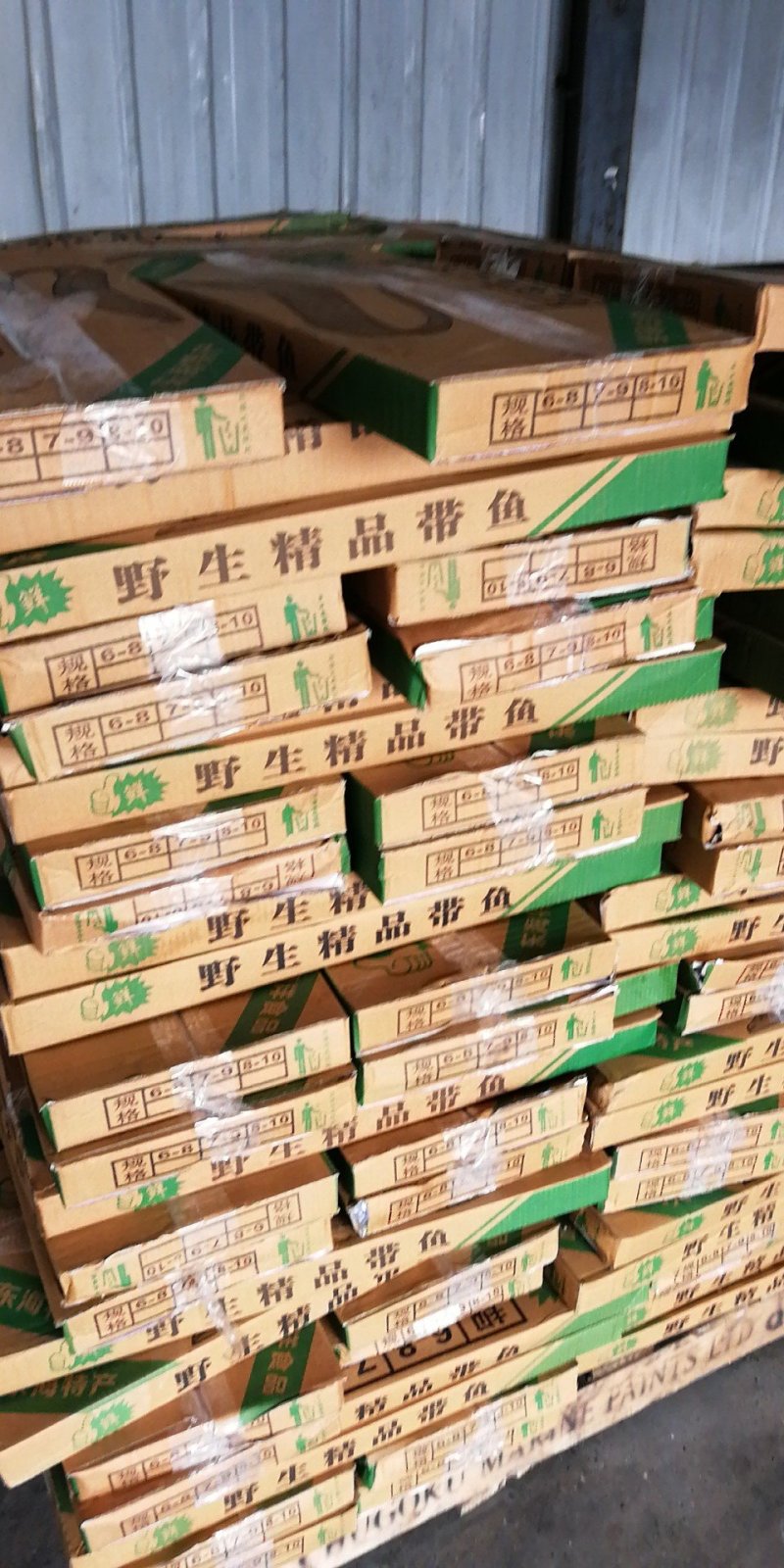 大连汽冻刀鱼