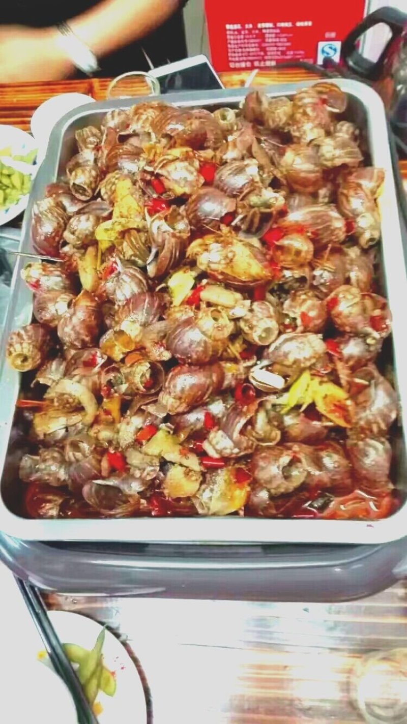 鲜活白玉蜗牛(农家自养)