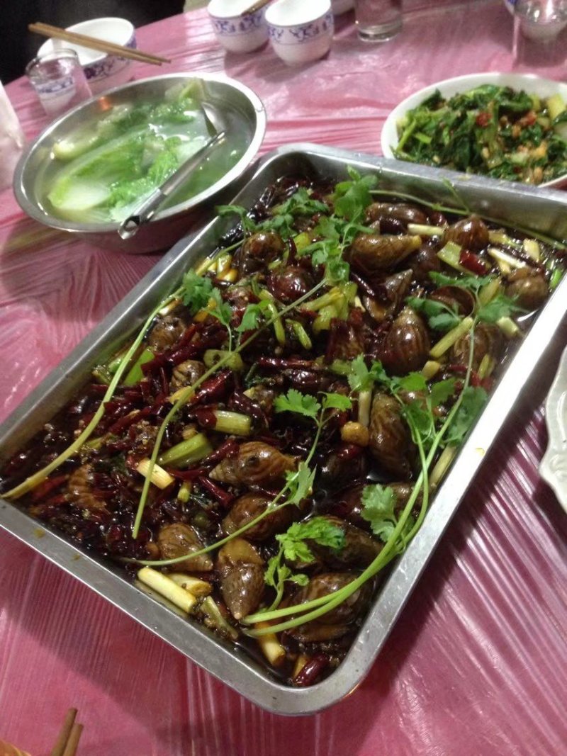 鲜活白玉蜗牛(农家自养)
