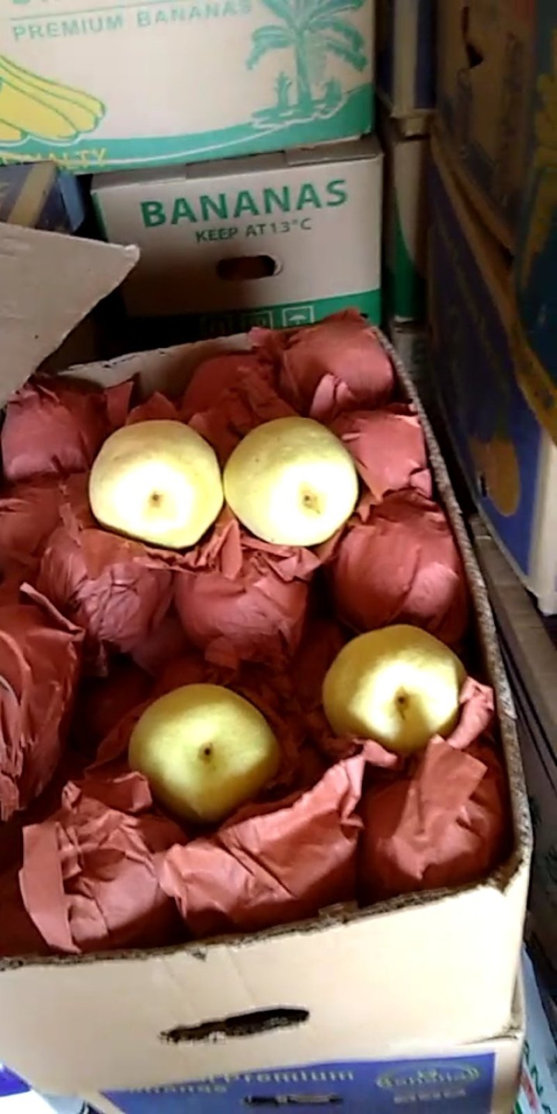 梨