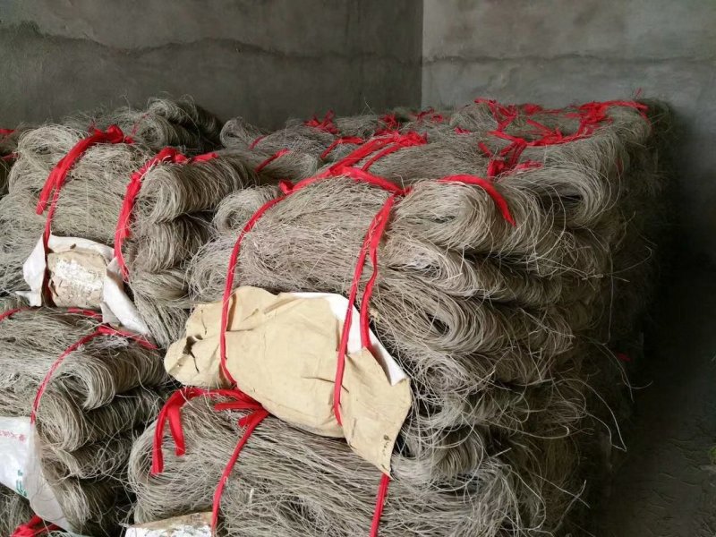 红薯粉条生产