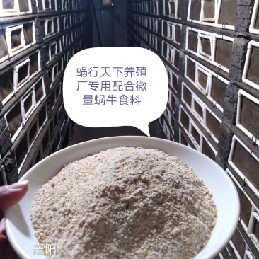 蜗牛专用饲料(500克/袋)