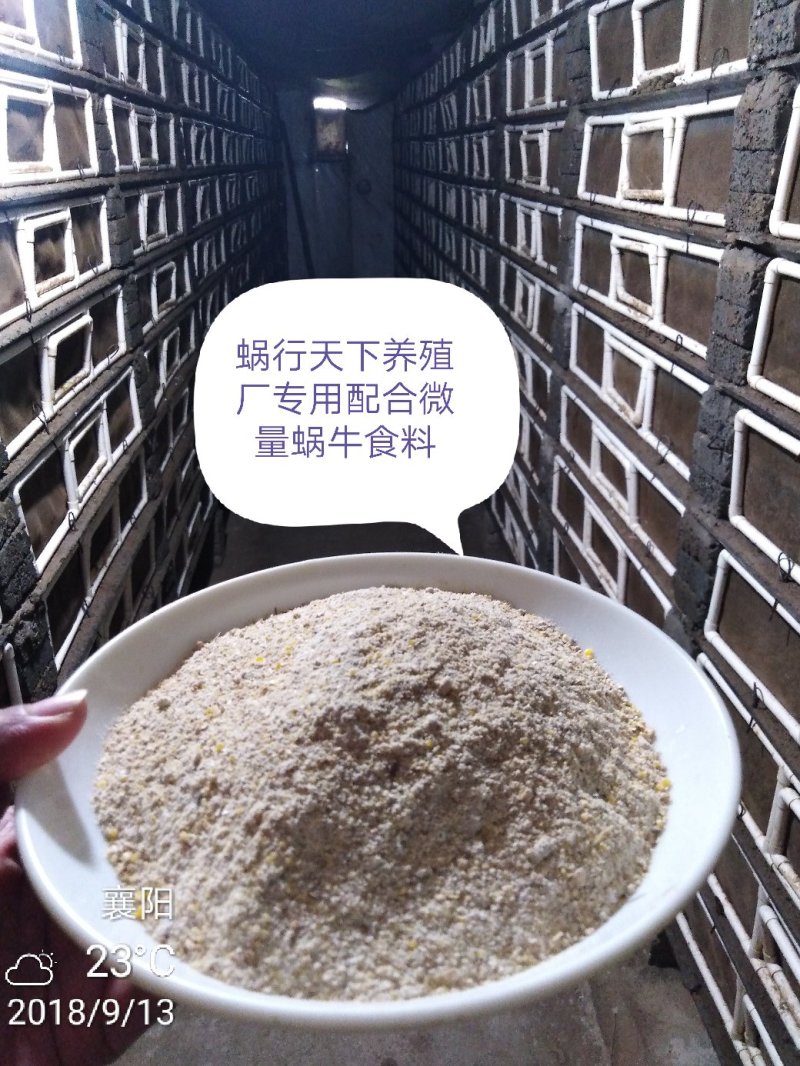 蜗牛专用饲料(500克/袋)