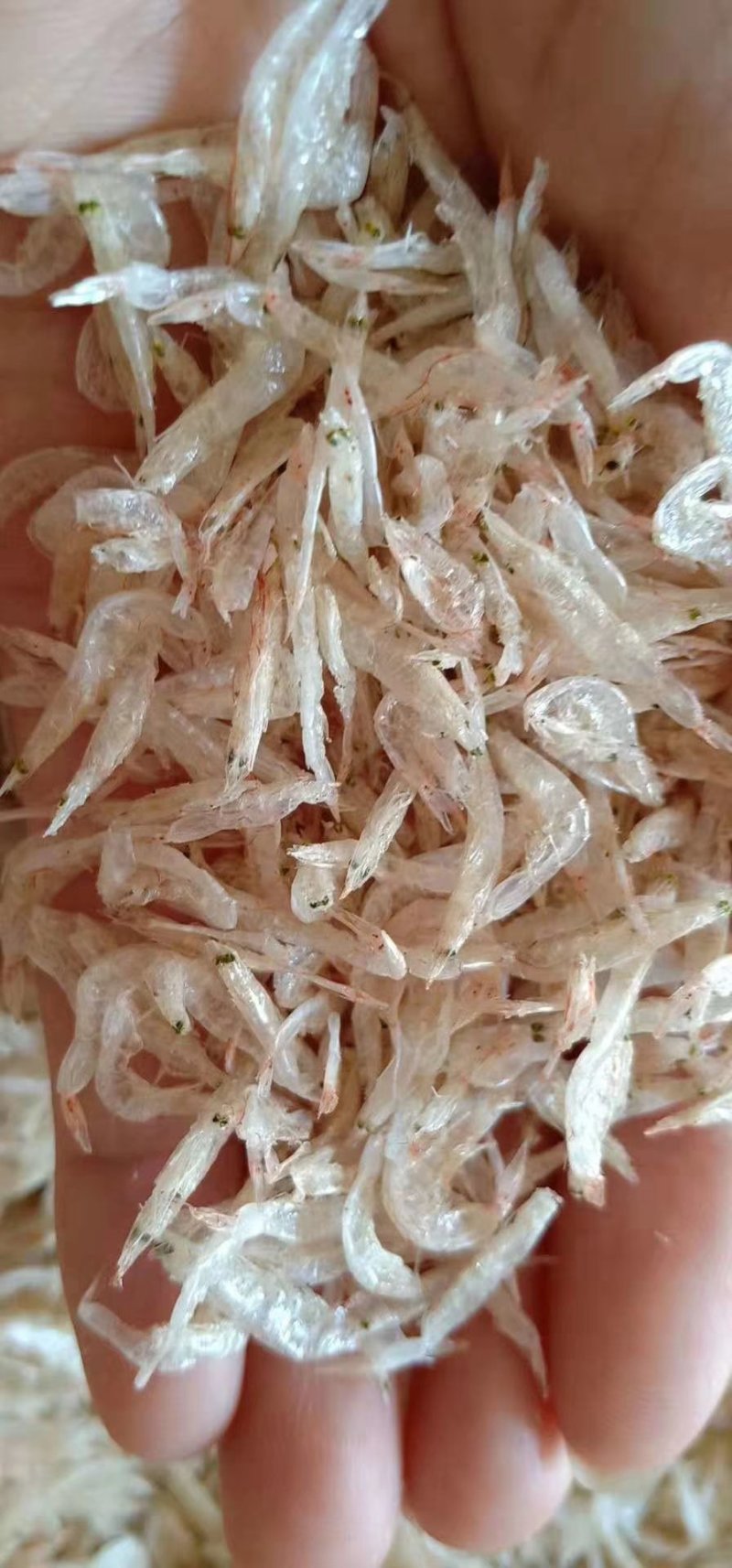虾皮鲜美生活