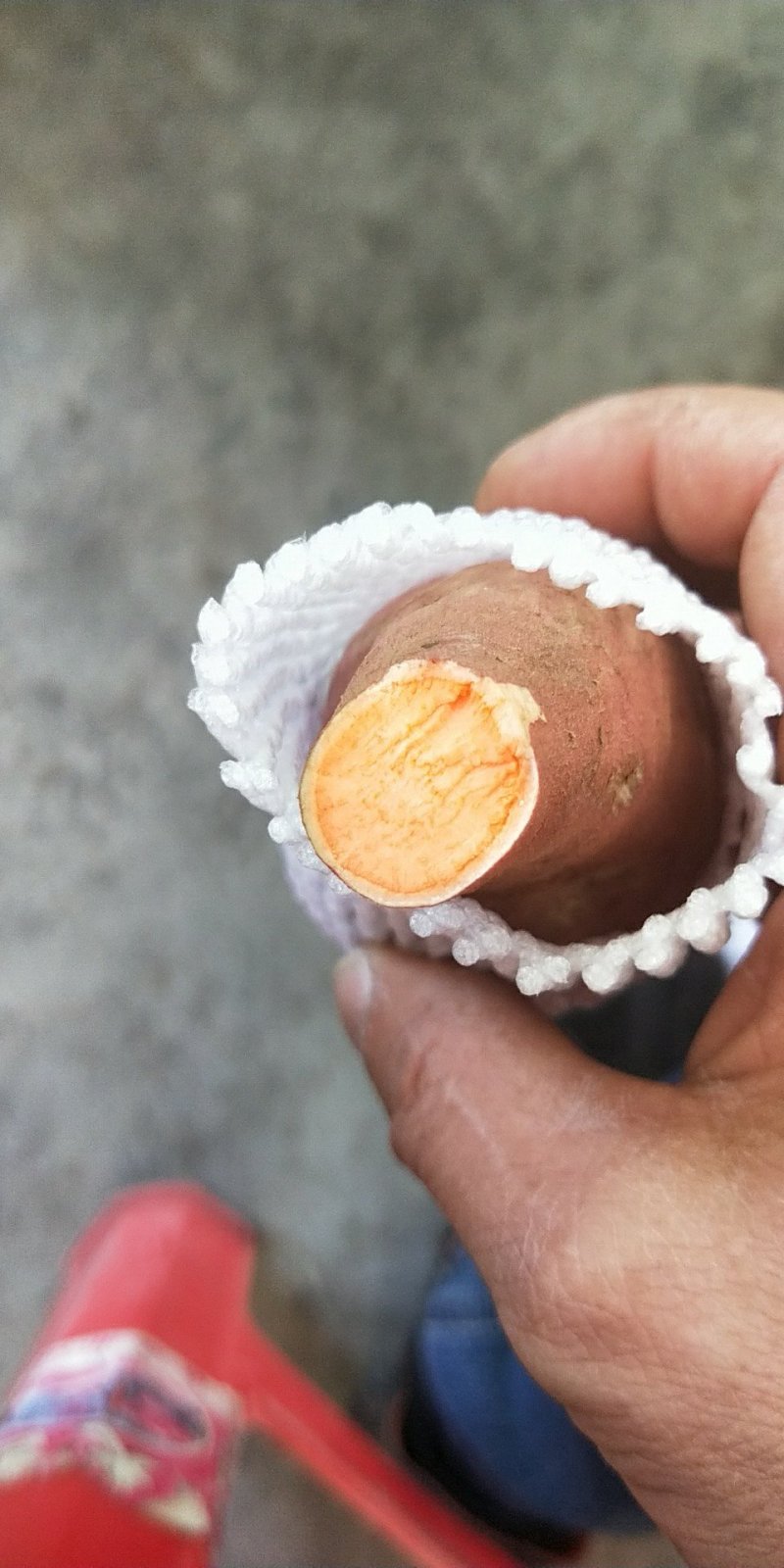 红薯西瓜红规格三两到一斤以糖化好
