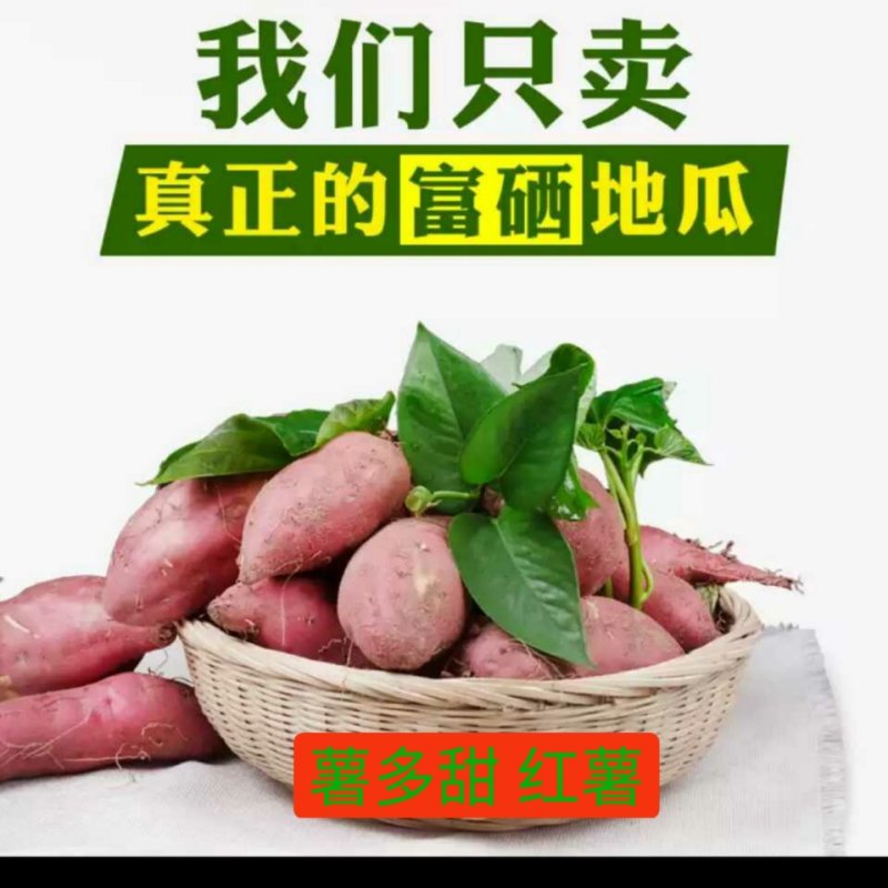 红薯西瓜红规格三两到一斤以糖化好