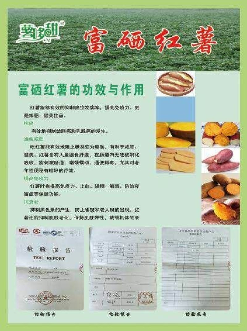 红薯西瓜红规格三两到一斤以糖化好