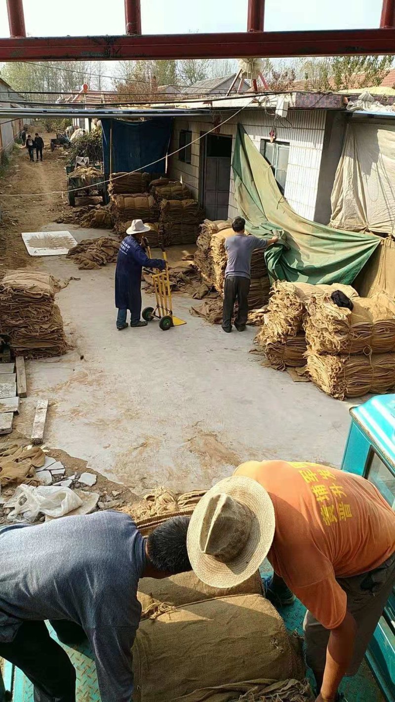 辣椒出口麻袋包树麻袋片土豆麻袋马铃薯麻袋大蒜麻袋