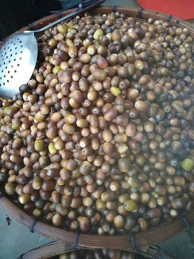 橡子豆腐干