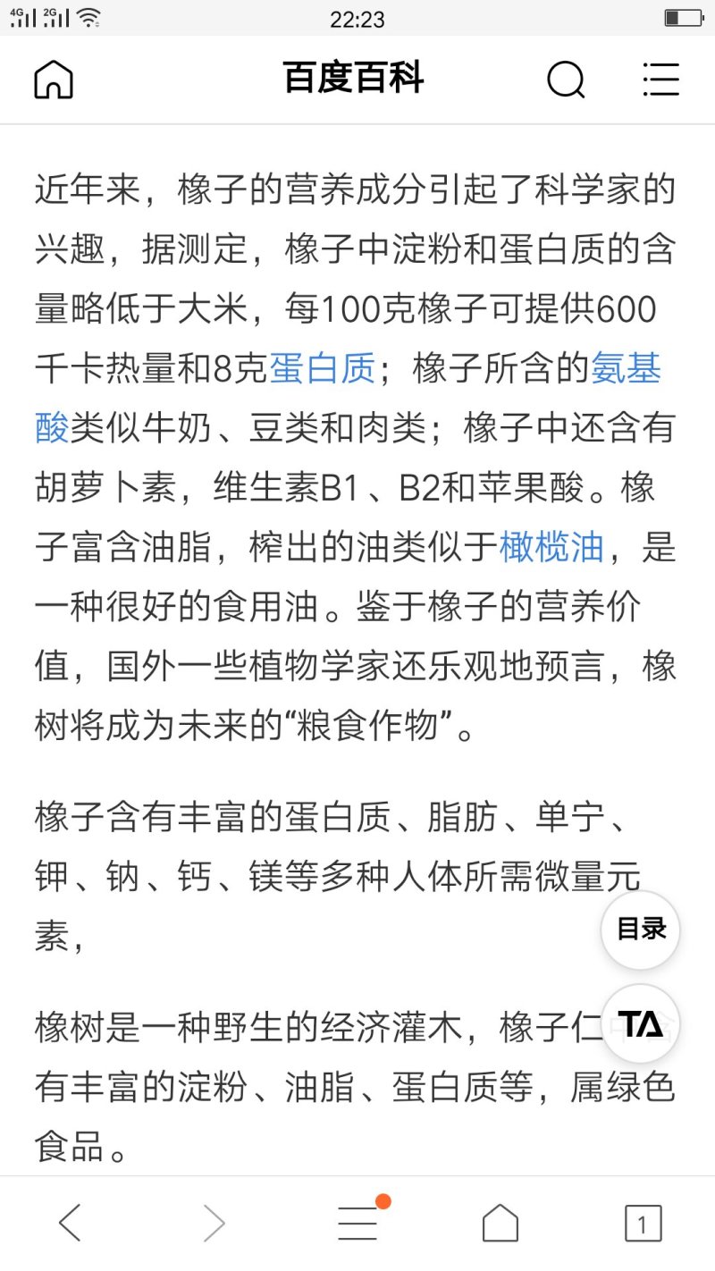 橡子豆腐干