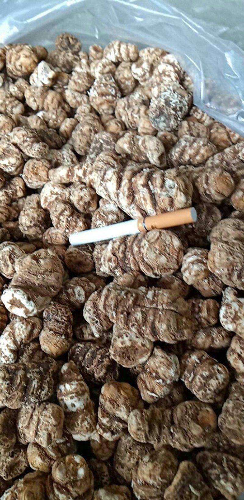 正宗重楼一手货源随时有货品质保证